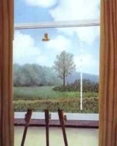 harry haller